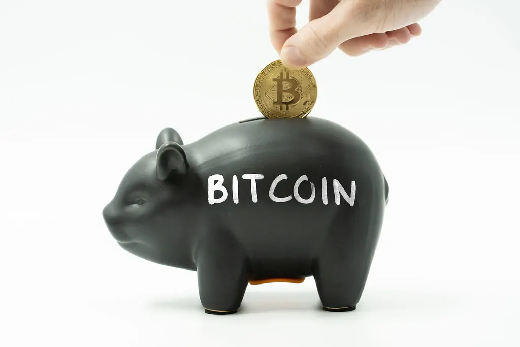 Bitcoin: Der beste Wertespeicher der Geschichte?